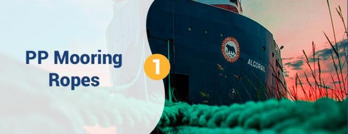 ขายปลีก 220 M สีขาว ความแข็งแรงสูง PP โพลีโปรไพเลน 8 สาย 68 มม 0